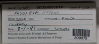 Image Associated With the Occurence